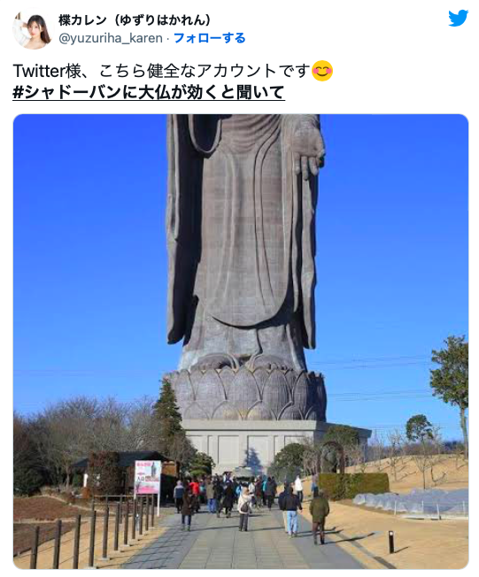 突破 twitter 封锁！来看女优们的大佛普拉斯！