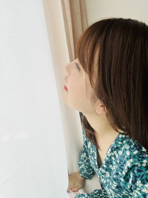 松本梨穗(松本梨穂)出道作品番号及封面,松本梨穗个人简介