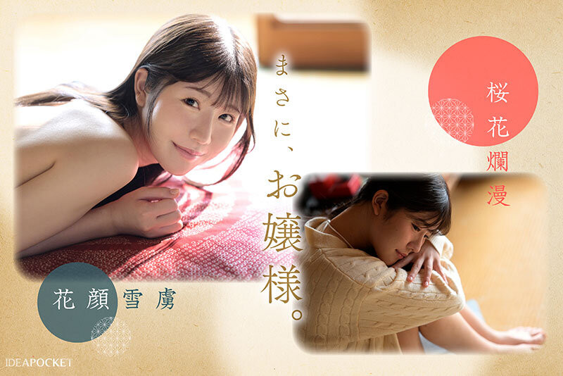 (IPZZ-731)酒井澪出身上流却很下流! IP社四大新人的第三位是H罩杯的疗愈女神!