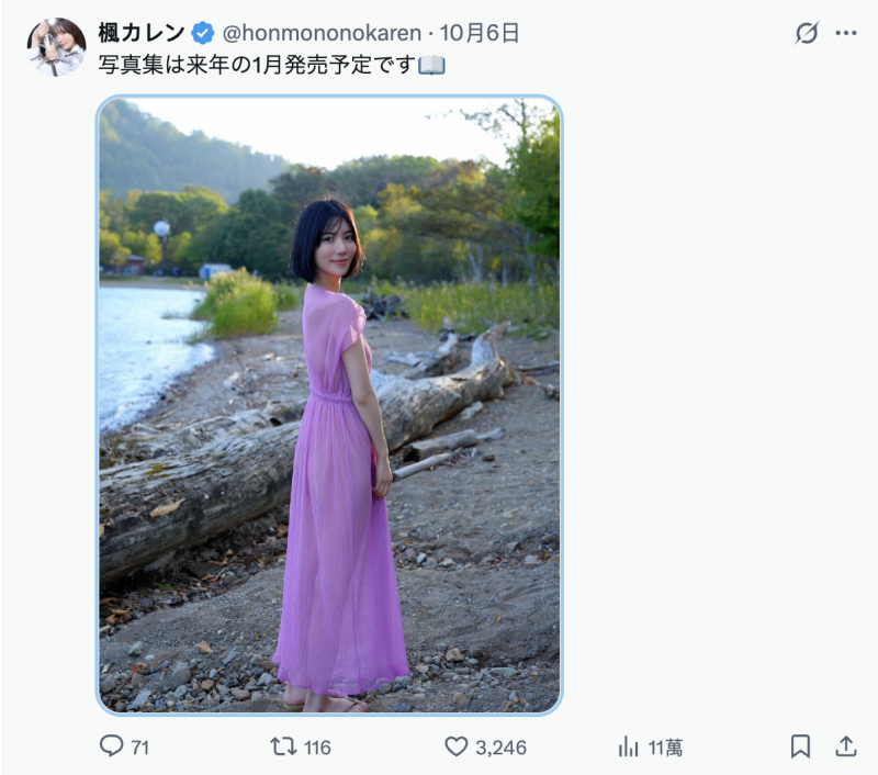 「我没有忘了X(社群)喔」、但,枫カレン(枫花恋)何时有新片?